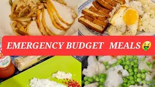 EXTREME EMERGENCY BUDGET MEALS USING MARK DOWNS / FRUGAL MEALS / FRUGAL LIVING