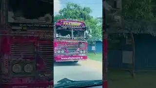Dham Rajini ❤️🇱🇰💖#automobile #subscribe #dhamrajini #limosin #viralvideo #srilanka #india #bus