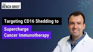 Targeting CD16 Shedding to Supercharge Cancer Immunotherapy