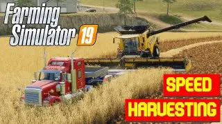 SPEED HARVESTING! | Farming Simulator 19 | Combine on a low loader harvesting grain at some speed!