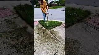 Sharp Walkway Lawn Edges and Clean Borders for Polished Finish 🚶 | #lawncare #trimming