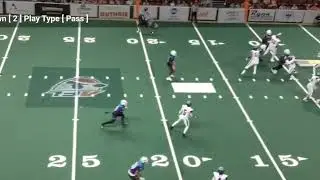 Diondre Borel QB #13 2024 AFL Highlight