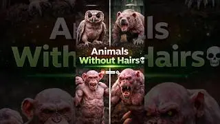 Animals Without Hairs 💀 | #facts