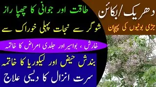 Bakain/Darhek ke Fawaid || Persian Lilac Tree Benefits || Bakayan Ke Fayde || بکائن کے فائدے
