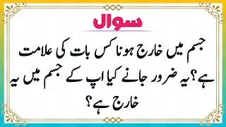 Top Islamic Questions Answers | Islamic Quiz | Islamic Paheliyan | Islami Sawal Jawab | Urdu Quiz