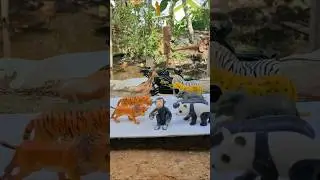 RC Car and Animal Toys Dolly Zoom Effect #rc #rccar