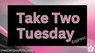 Take Two Tuesday Express: Rectangles, Circles, Shakers & More