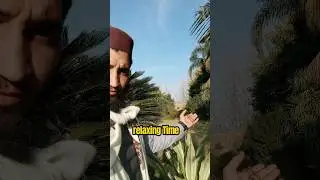 My today simple vlog||motorcycle sold