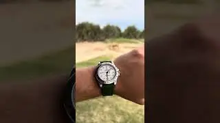 Forest Green WIS Watch Strap on the Rolex Explorer II on Safari 🦁