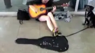 beti fly away