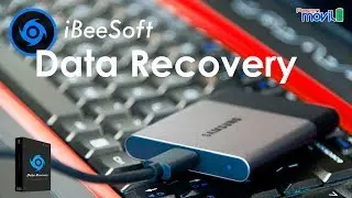 IBeeSoft - Recupera tus archivos eliminados o perdidos