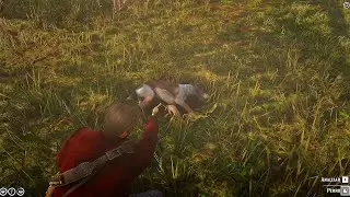 This Shocking Dog Death Animation in RDR2 Left Me Speechless