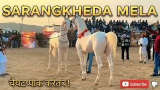 Sarang के घोड़ों का सांता स्टाइल में जलवा! 🎅🐎 2 सफेद, 2 डांसिंग और 1 काला घोड़ा! SarangkhedaMela