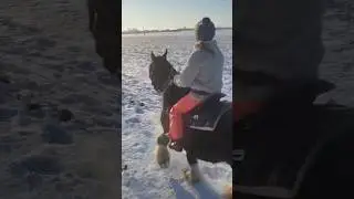 Kiedy koń chce kłusować a ty nie🤣🐴 #horse #horses #funny #go #home #horselife #horselove #snow