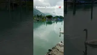 Walensee Switzerland 🇨🇭 #swiss#schweiz #walensee #zurich