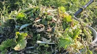 Preparing new garden beds for higher yields, better water retention, and less weeds