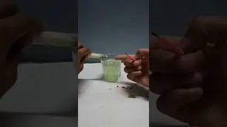 Eno Water vs Candle Experiment | Simple Science Experiment | #shorts #youtubeshorts #itsuniqueritesh