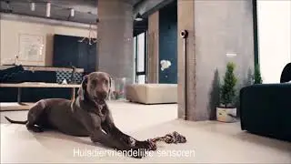 Ajax Alarmsysteem, geen zorgen en geen draden!
