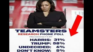 Harris Campaign Tanks All Blue Collar Support in 2024 Election