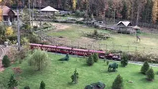 Railfanning the Essex County Turtle Back Zoo Railroad on Halloween 2021