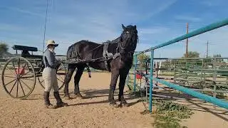 Hooking up and unhooking Draego