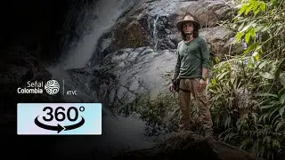 Ciudad perdida de Falan (Tolima) - Video 360&deg; | Tesoros olvidados