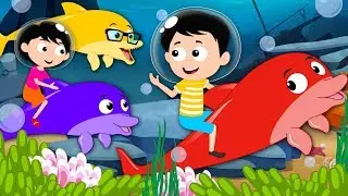 We Are The Dolphins | Kindergarten Songs And Videos For Kids
