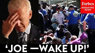 'Democratic Leadership Has Failed Us': NYC Councilwoman Reacts To Migrant Influx | Forbes