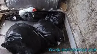 How Garbage Trucks Manage Smelly Trash for Recycling