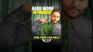 HARD WORK BUT NO PROGRESS? WATCH THIS! #motivation #viral #success #getrich #growth