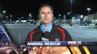 KDVR: Fox 31 Denver 
