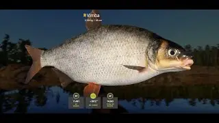 Russian Fishing 4 Ladoga Lake Trophy Vimba & Roach