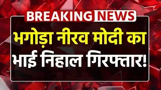 Breaking News: भगोड़ा Nirav Modi का भाई Nihal गिरफ्तार! | PNB Scam Case