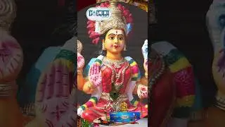 Why Incense is Important for Relaxation | LOLAA Incense Sticks