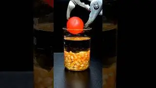 1000c RHCB vs Corn 🌽  #satisfying #experiment #science #asmrsounds #rhcb #fyp