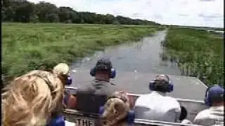Airboat Rides in Boggy Creek, Florida, USA
