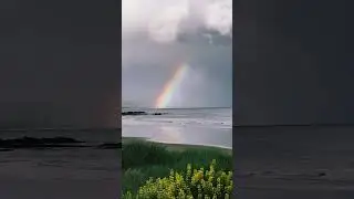 Rainbow in the Dark.  Nugget Point - Otago Coast, New Zealand.