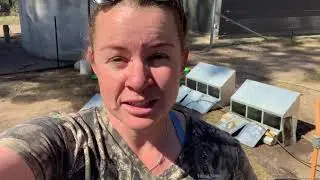 Preparation for breeding season