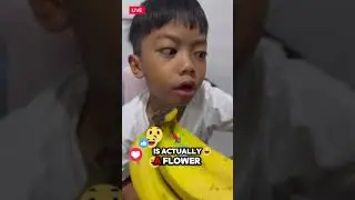 Banana is actually berry 🍌 #funfacts #bananaberry #viralshorts