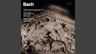 Christmas Oratorio, BWV 248, Part III: VIII. Schließe, mein Herze, dies selige Wunder