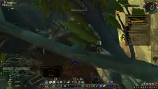 Farming War Resources for Kady on WOW BFA HD