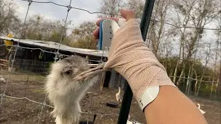 Kevin Broke my Hand Again