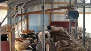 Einstreumeister von den Stallbauprofis Hartmann