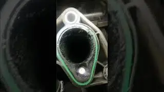 Carbonilla en el colector de admisi&oacute;n de un Audi A3 1.6 8L
