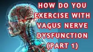 Vagus Nerve Training (part 1)
