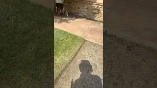 Digging Clean Satisfying Edge #satisfying #viral #gardening #asmr #landscaping #edge #edging #fyp