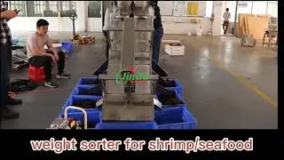for Shrimp and Prawns, Squid and Octopus Seafood Fish Weight Weighing Sorting Machine system