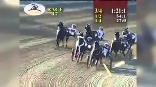 2015 Wiggle It Jiggleit defeats Lost for Words in Jug Final (Railbird Recognition)