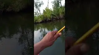 Kesting di muara sikilang sangat jos.