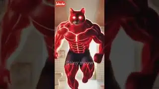 The kitten transformes into red monster #cat #cartoon #superhero #funny #meowgical